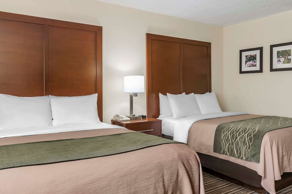 Standard Room, 2 Queen Beds, Non Smoking - Photo 4