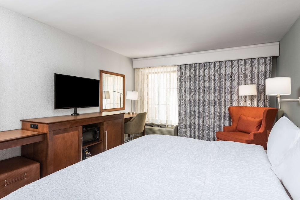 Room, 1 King Bed, Accessible (Roll-In Shower) photo 2