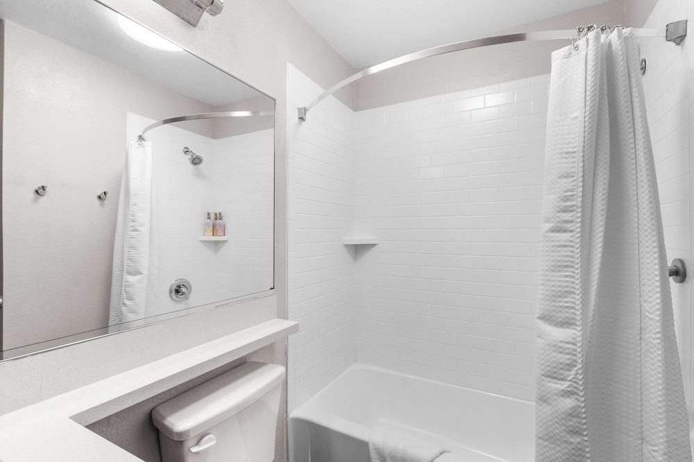 Suite, 1 King Bed (One Bedroom) - Photo 11