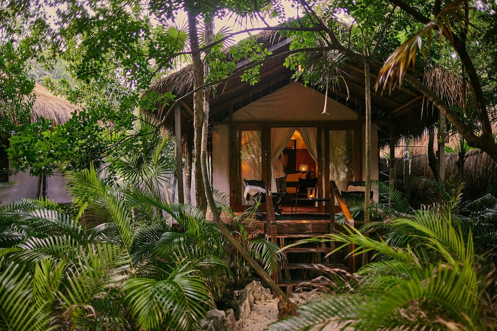 Room (Jungle)