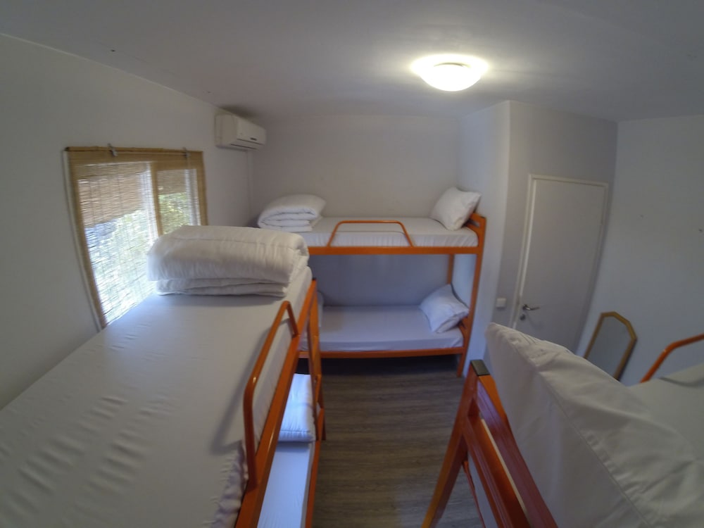 Basic Shared Dormitory, Mixed Dorm photo 1