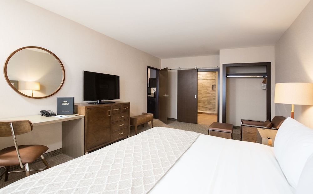 Executive Suite, 1 King Bed with Sofa bed, Non Smoking photo 1