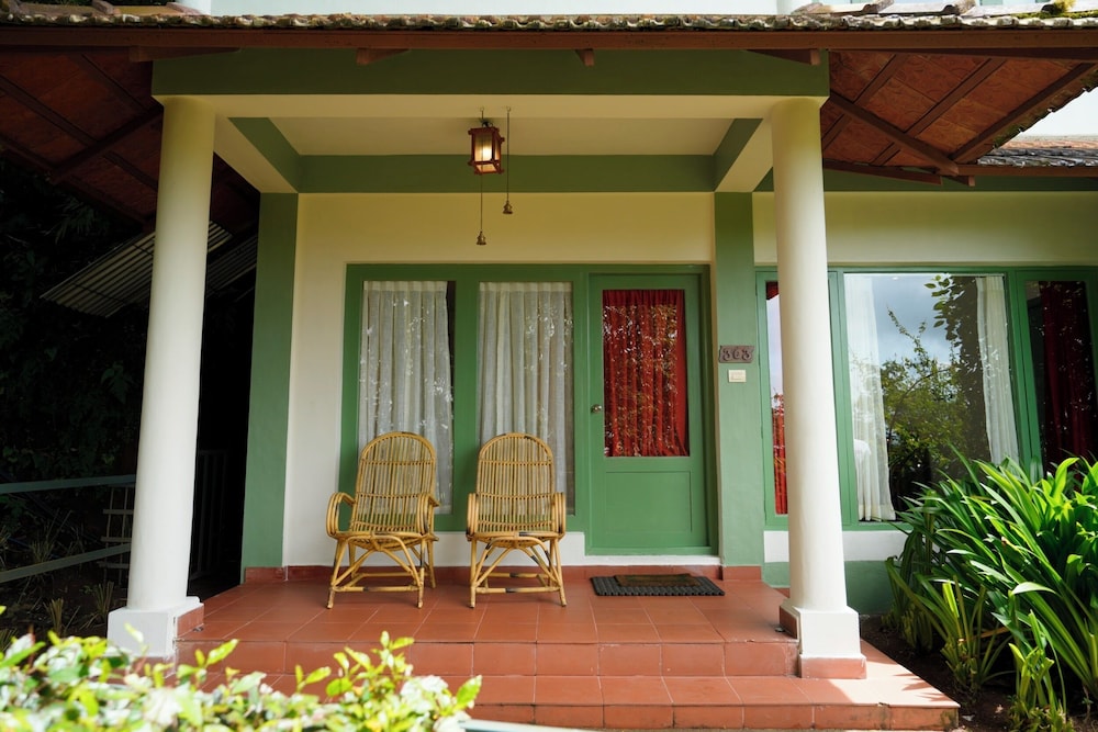 Garden Suite - Photo 3