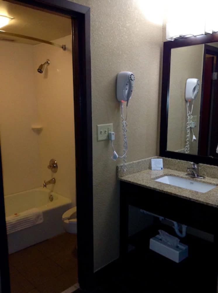Standard Studio Suite, 1 Queen Bed with Sofa bed, Non Smoking, photo 6