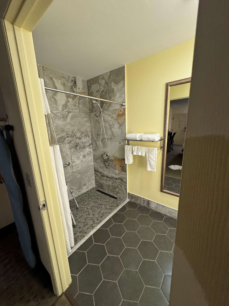 Standard Room, 1 King Bed, Accessible, Non Smoking - Photo 5
