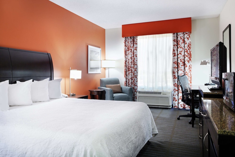 Suite, 1 King Bed, Accessible - Photo 4