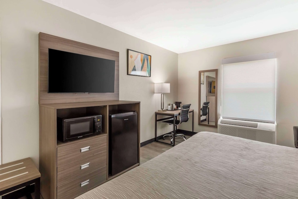 Standard Room, 1 King Bed, Non Smoking - Photo 8