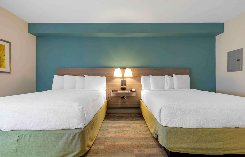 Superior Studio, Multiple Beds, Non Smoking photo 2