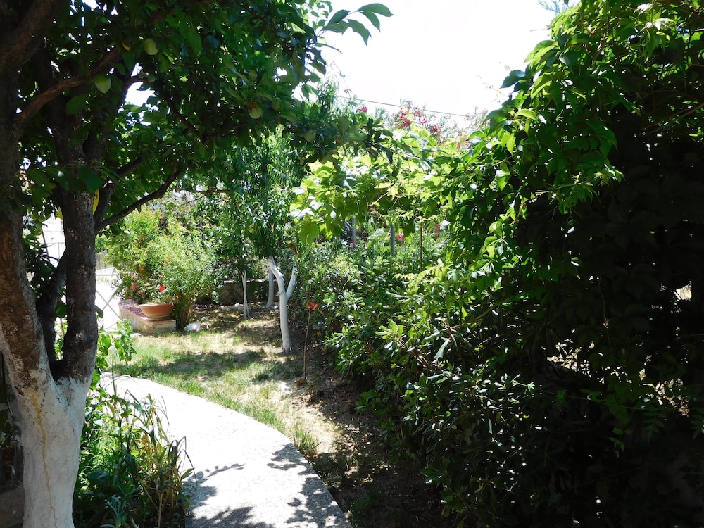 Classic Double Room, 1 Double Bed, Courtyard View photo 2