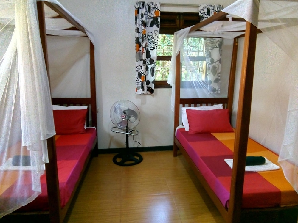 Twin Room photo 3