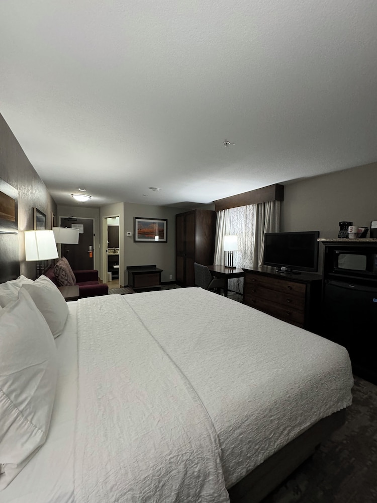 Studio, 1 King Bed, Accessible, Bathtub (Mobility & Hearing) photo 3