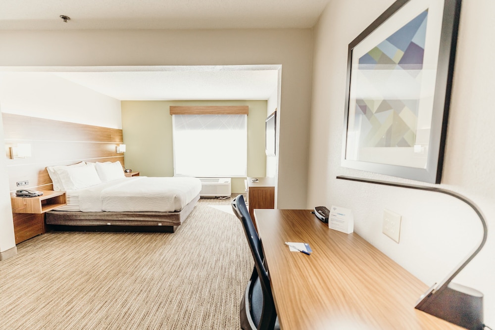 Suite, 1 King Bed - Photo 1