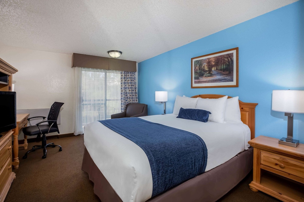 Room, 1 Queen Bed, Non Smoking (River View) - Photo 1