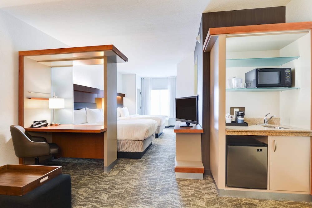 Studio, Multiple Beds, Non Smoking (Mobility Accessible, Transfer Shower) photo 3