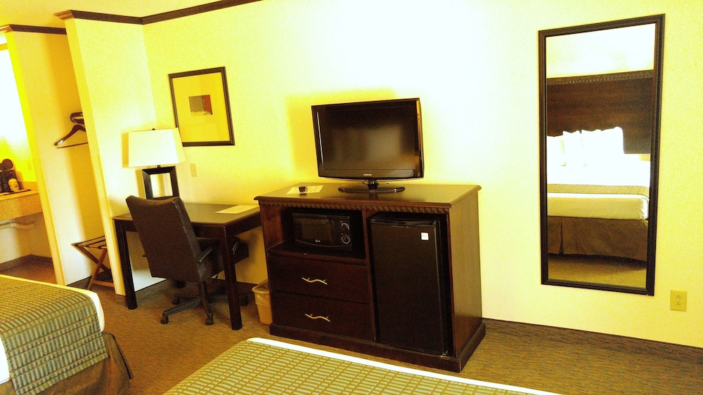 Standard Suite, Multiple Beds photo 3