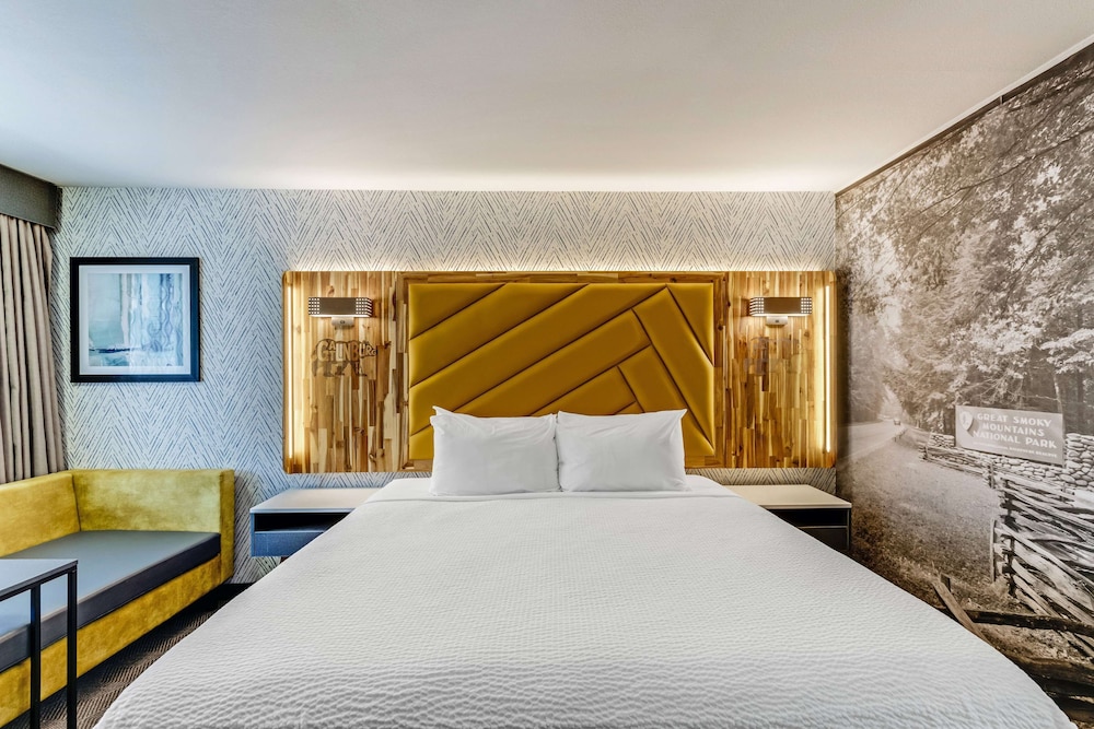 Room, 1 King Bed, Accessible, Non Smoking (Mobility, Roll-In Shower) - Photo 4