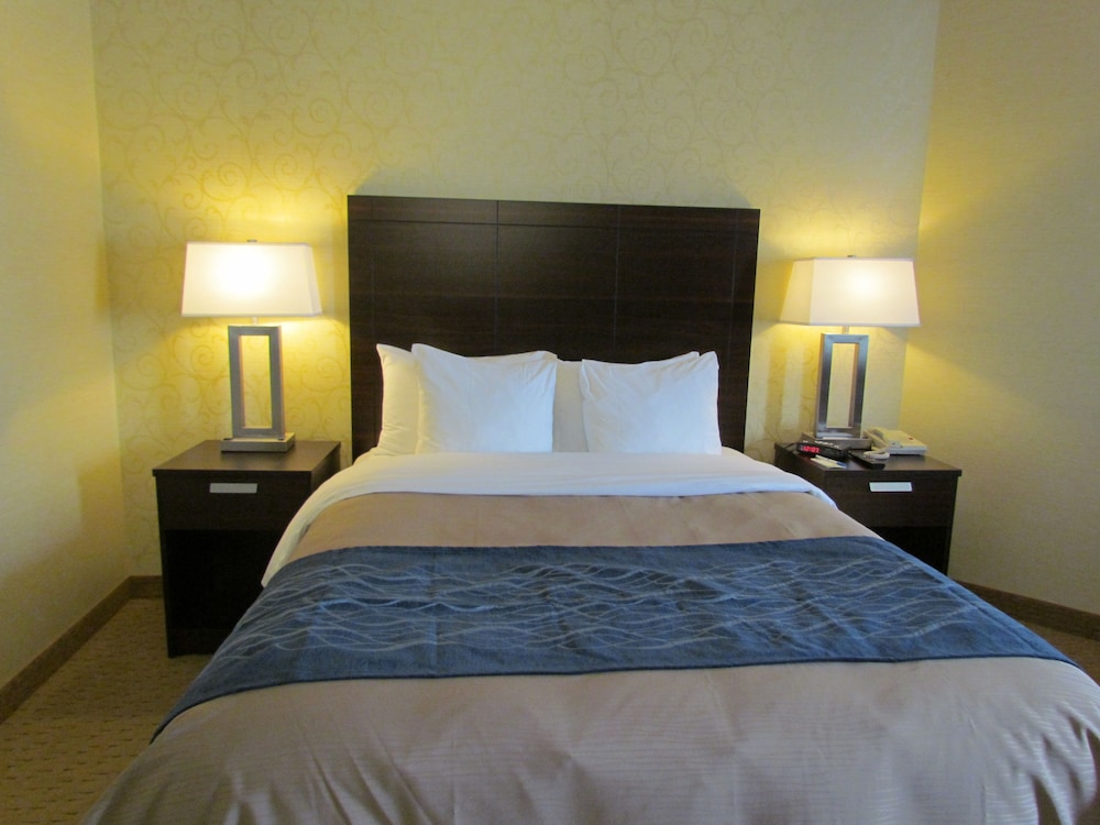 Comfort Care, Double Room, 2 Double Beds, Non Smoking - Photo 3