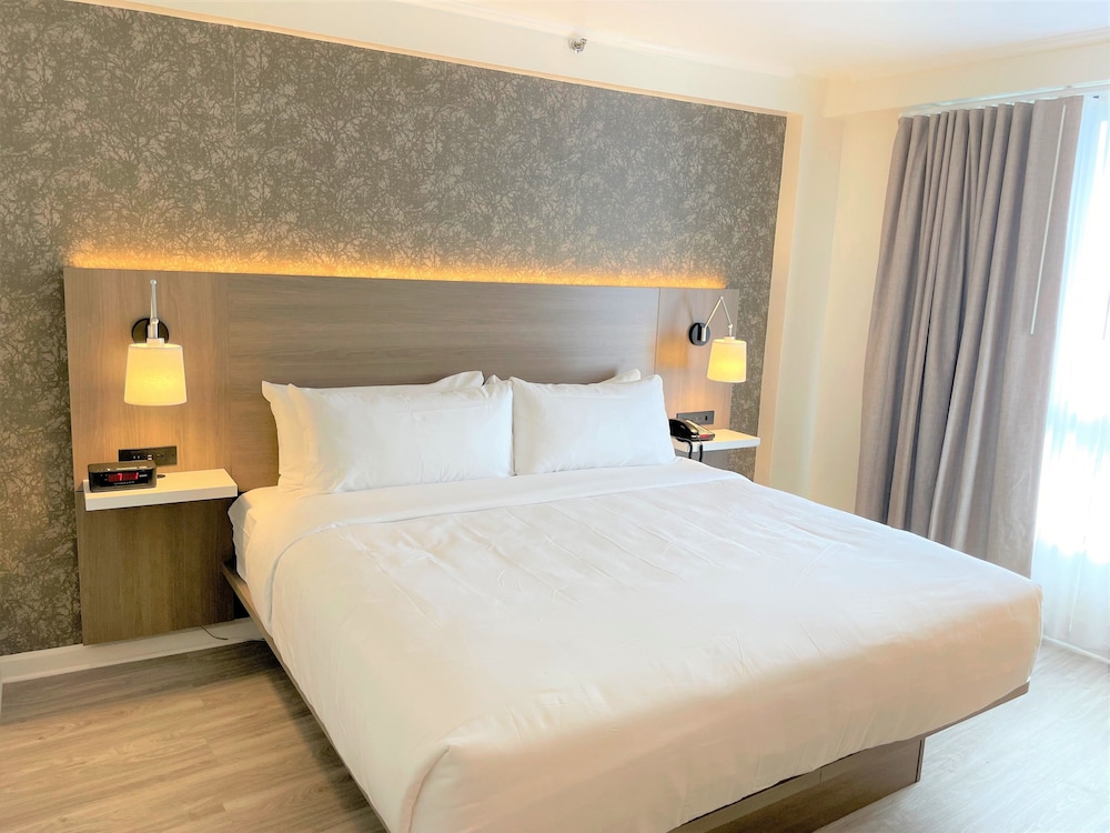 Room, 1 King Bed