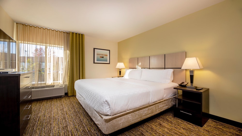 Suite, 1 Bedroom (Not Pet Friendly) photo 3