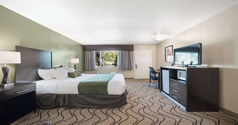 Deluxe Room, 1 Queen Bed, Non Smoking, Refrigerator & Microwave - Photo 9