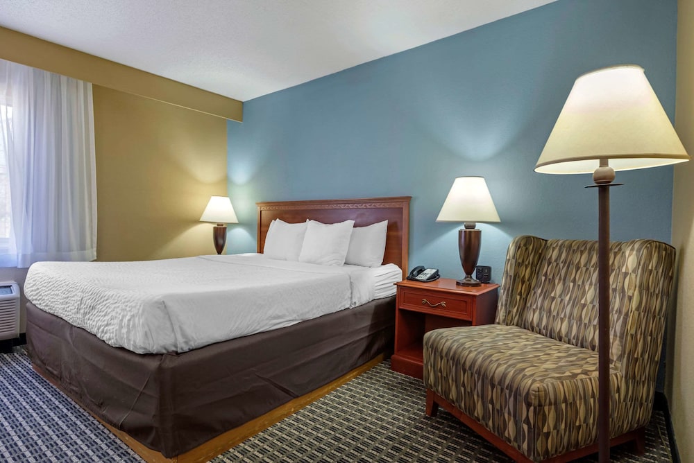 Standard Room, 1 King Bed, Non Smoking (Pet Friendly) - Photo 1
