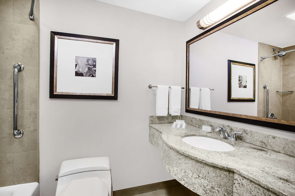 Suite, 1 King Bed, Accessible, Bathtub (Mobility) thumbnail 5