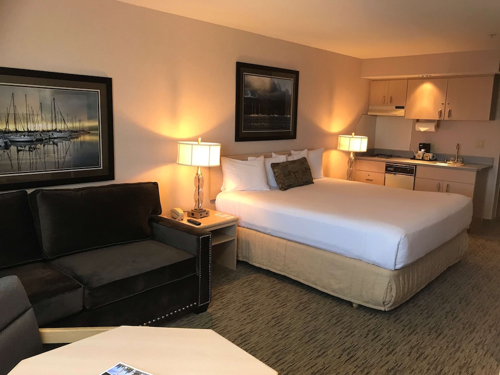 Suite, 1 King Bed photo 3