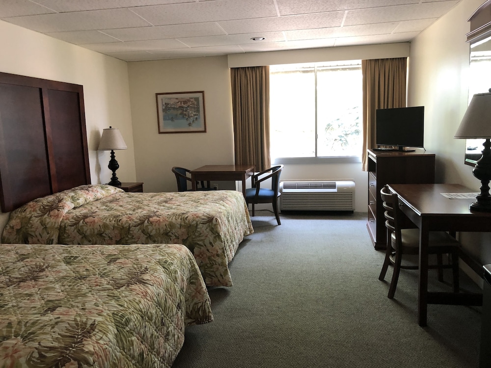 Comfort Room, Smoking photo 1