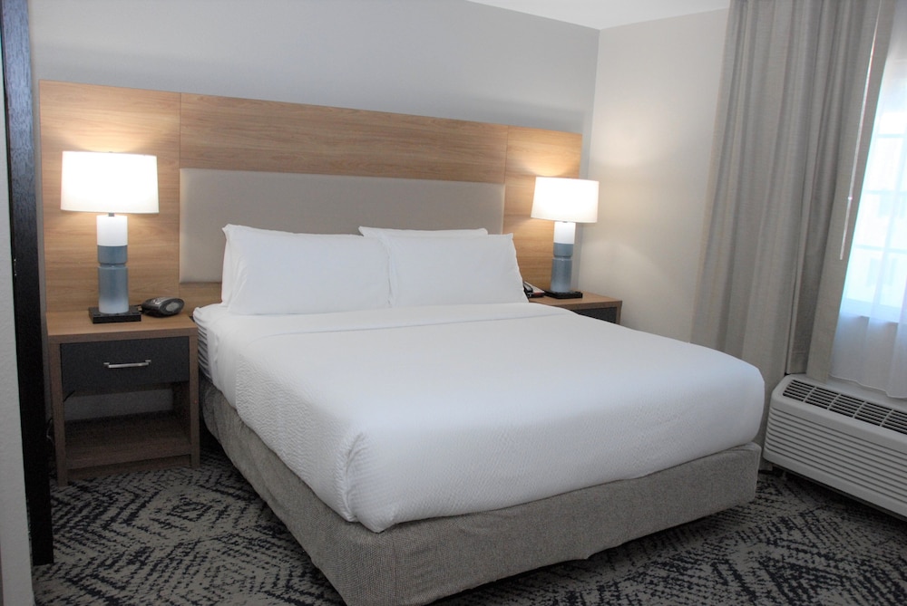 Suite, 1 King Bed, Refrigerator