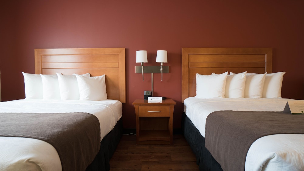 Standard Room, 2 Queen Beds, Non Smoking (Not Pet Friendly) - Photo 5