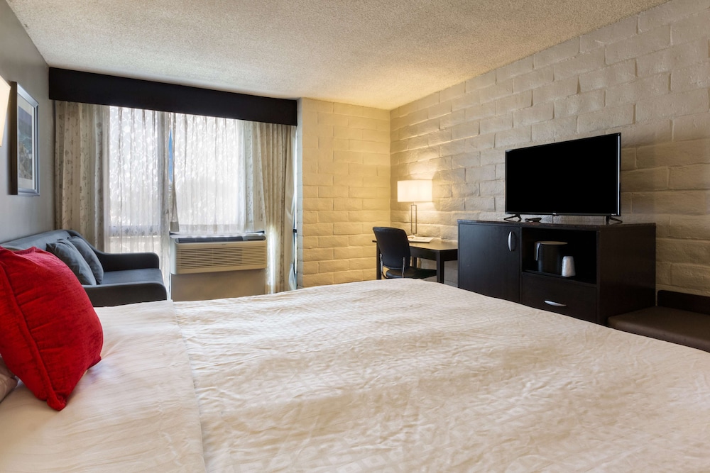 Room, 1 King Bed with Sofa bed - Photo 4