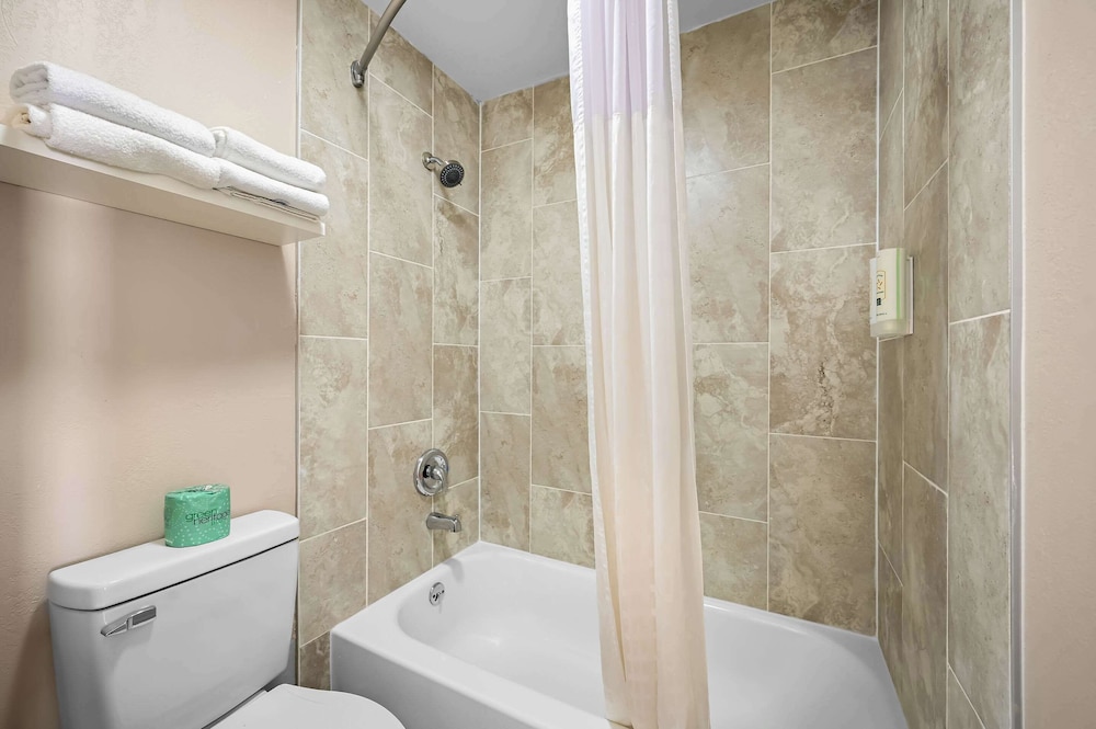 Executive Suite, 1 King Bed with Sofa bed, Non Smoking (Upgrade) - Photo 3