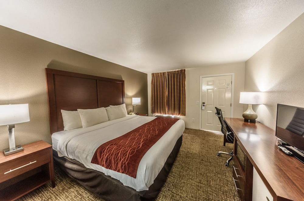 Standard Room, 1 King Bed photo 3