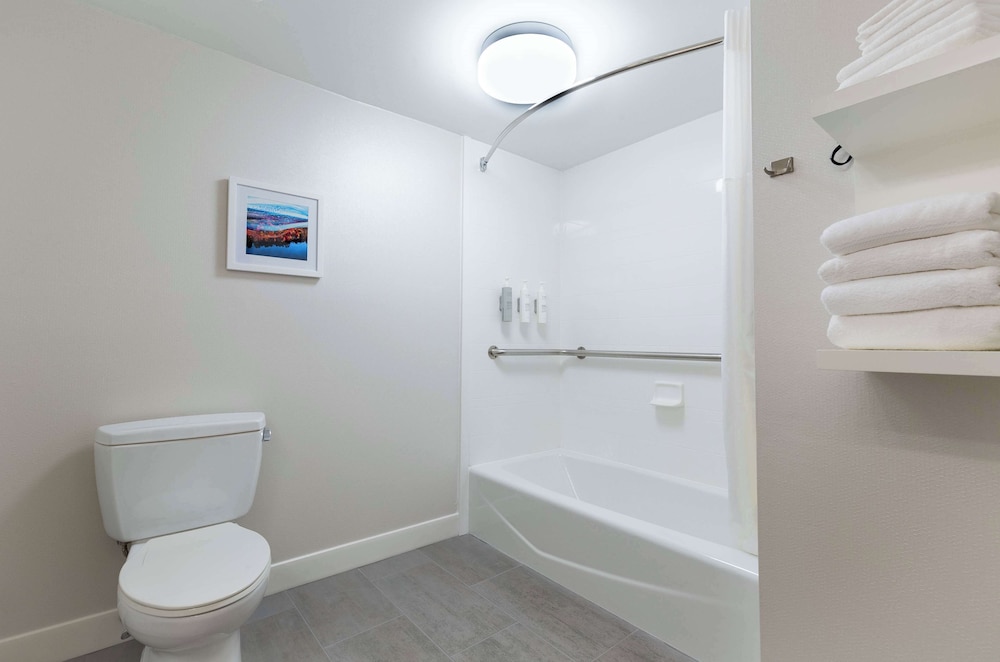 Room, 1 Queen Bed, Non Smoking (Mobility Hearing Accessible w/ Tub) - Photo 11