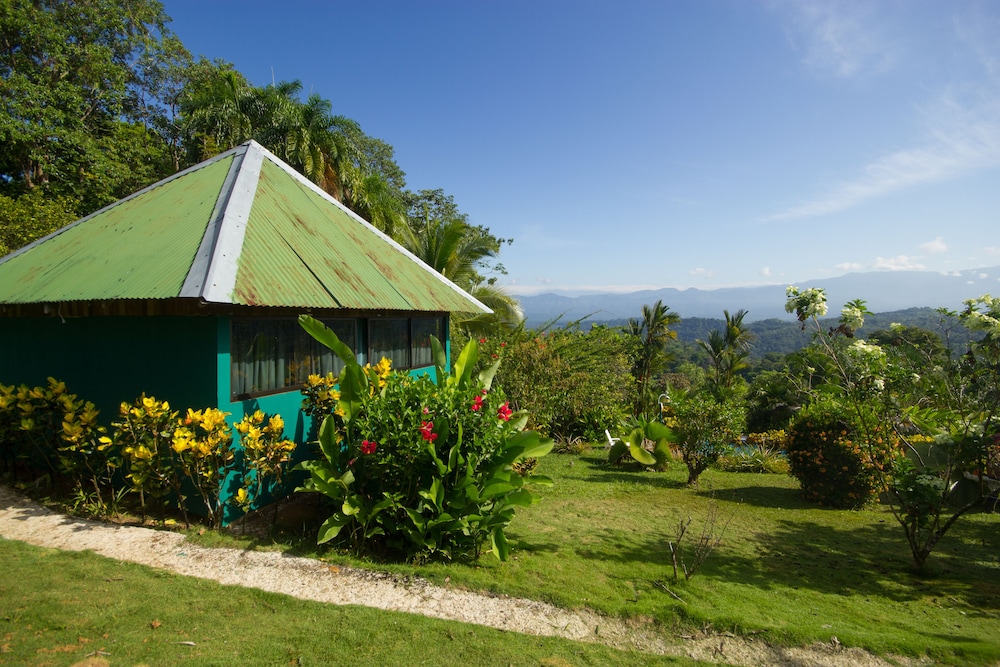 Bungalow Verde photo 3