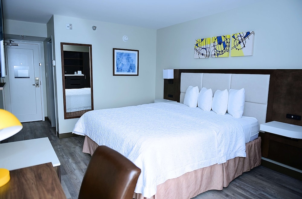 Deluxe Room, 1 King Bed, Non Smoking (Walk-in Shower) photo 1