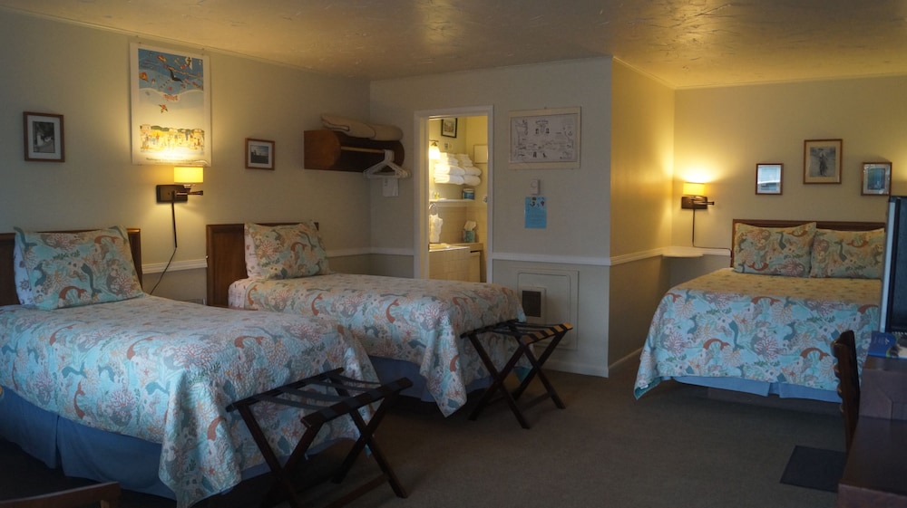 Standard Single Room, Multiple Beds, Non Smoking photo 1