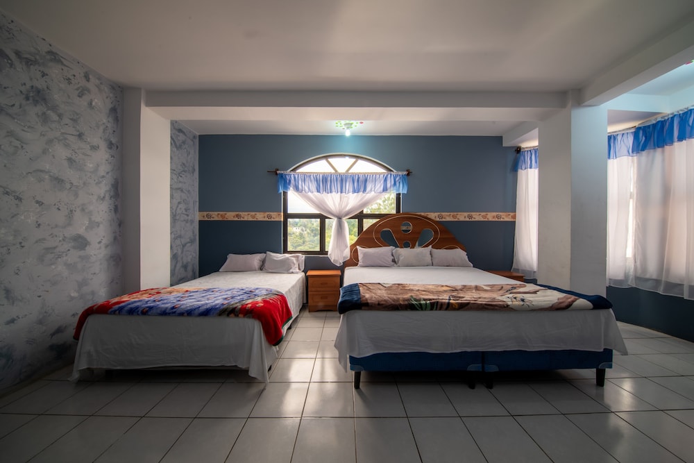 Basic Twin Room photo 1