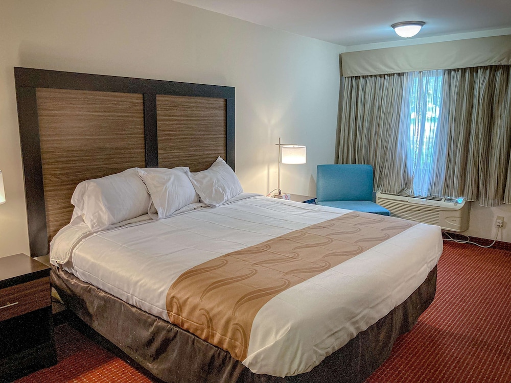 Deluxe Room, 1 King Bed, Non Smoking, Refrigerator & Microwave - Photo 1