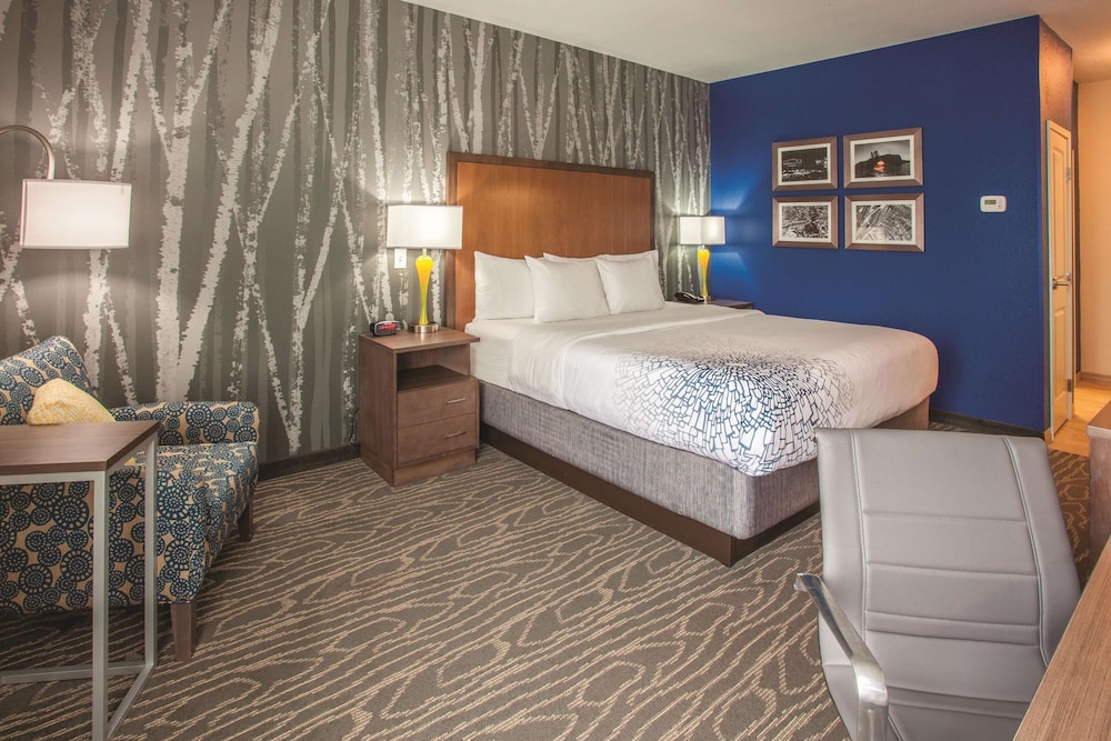Deluxe Suite, 1 King Bed, Non Smoking photo 2