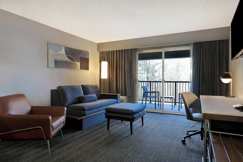 Room, 1 King Bed with Sofa bed (Hearing Accessible) - Photo 4