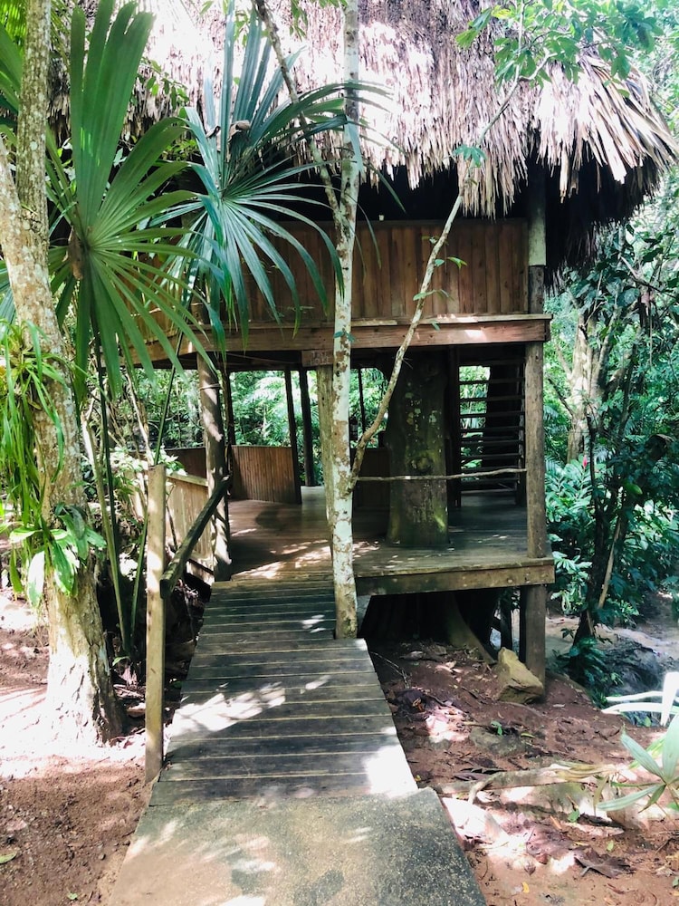 Panoramic Tree House, 1 Bedroom, Non Smoking, Garden View photo 2