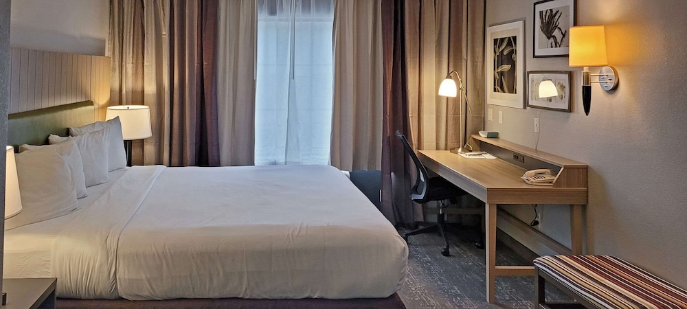 Studio Suite, 1 King Bed, Non Smoking photo 1