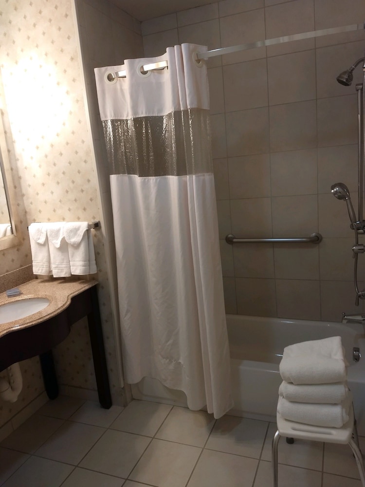 Studio Suite, 1 King Bed, Non Smoking, Bathtub (Mobility/Hearing) - Photo 5