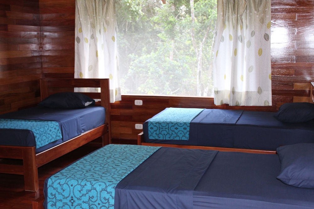 Economy Bungalow, 1 Bedroom, Garden View photo 1