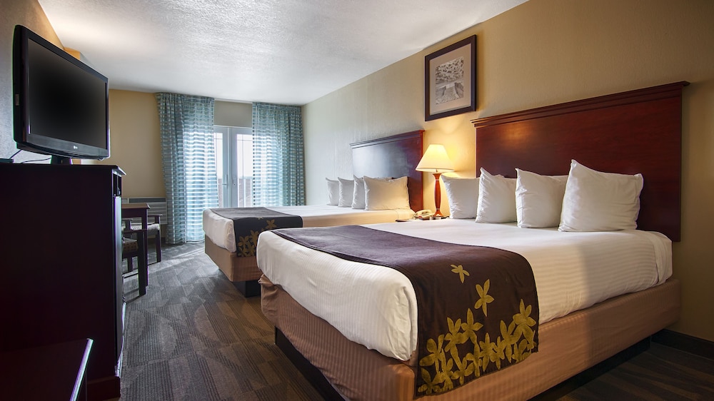 Double Room, Accessible, Refrigerator & Microwave photo 3