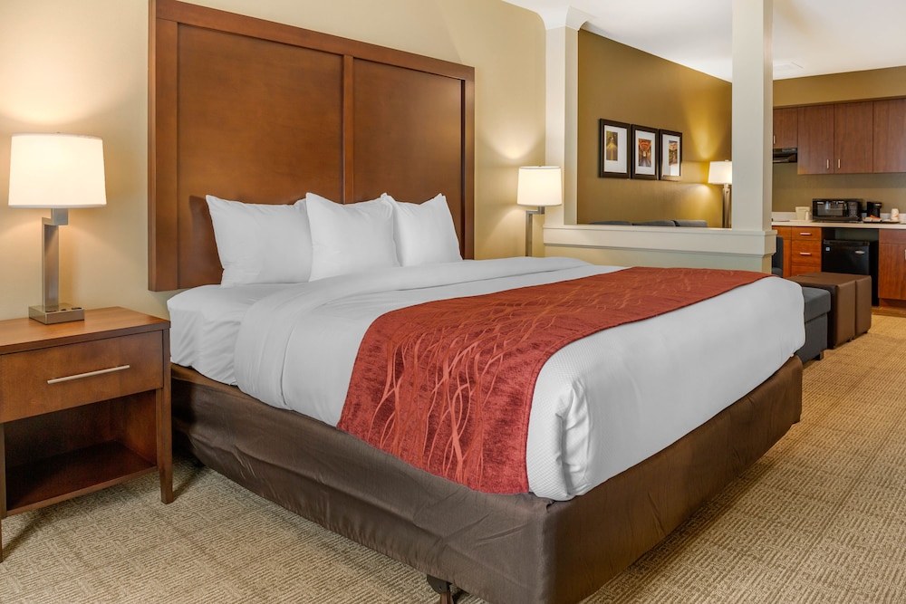Studio Suite, 1 King Bed, Non Smoking (Efficiency) - Photo 4