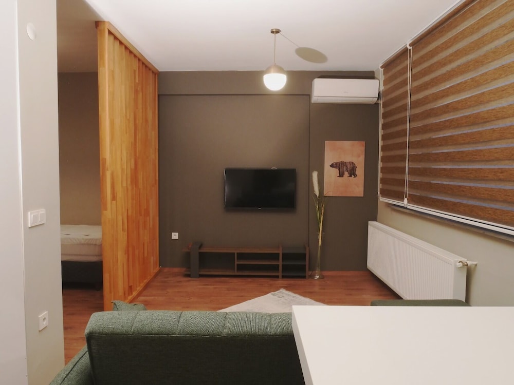 Deluxe Penthouse photo 1