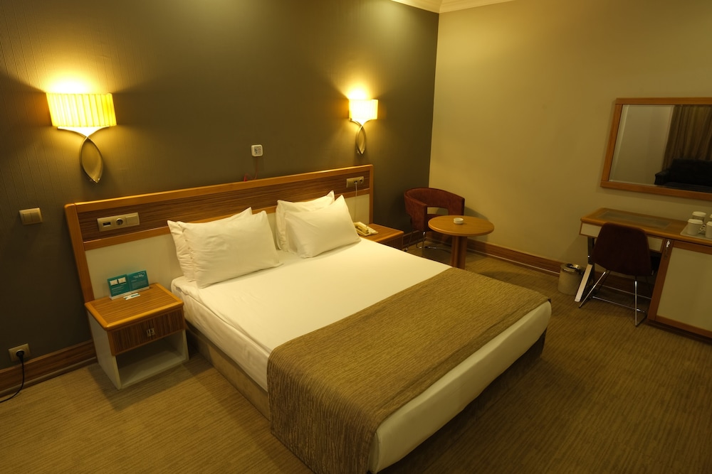 Standard Room, 1 King Bed With Sofa Bed, Accessible