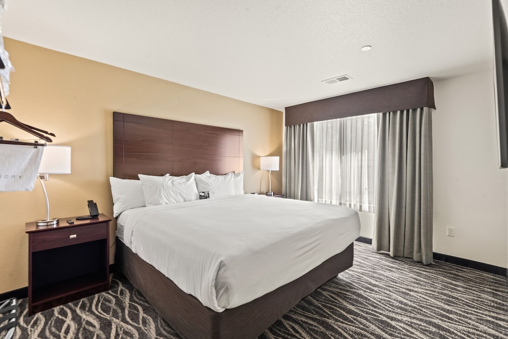Suite, Non Smoking (Single King Extended Stay) - Photo 7